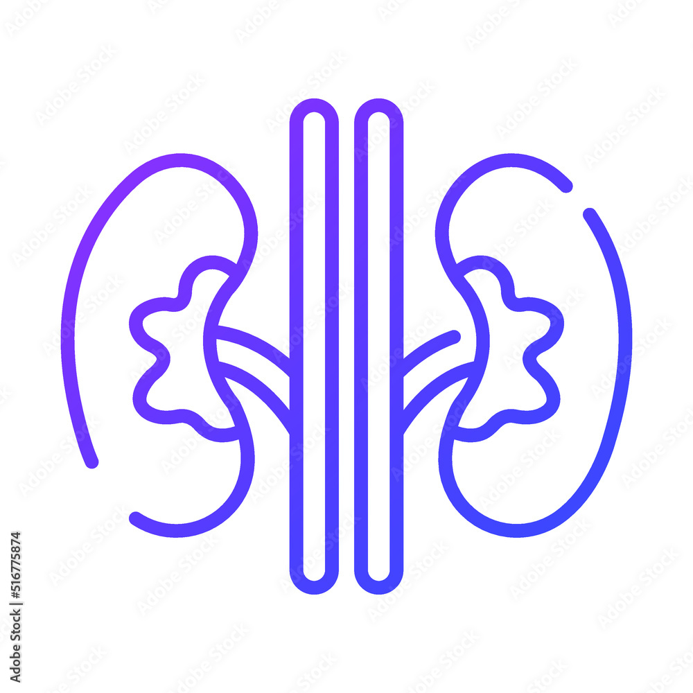 kidneys Modern concepts design, vector illustration kidneys Modern concepts design, vector illustration