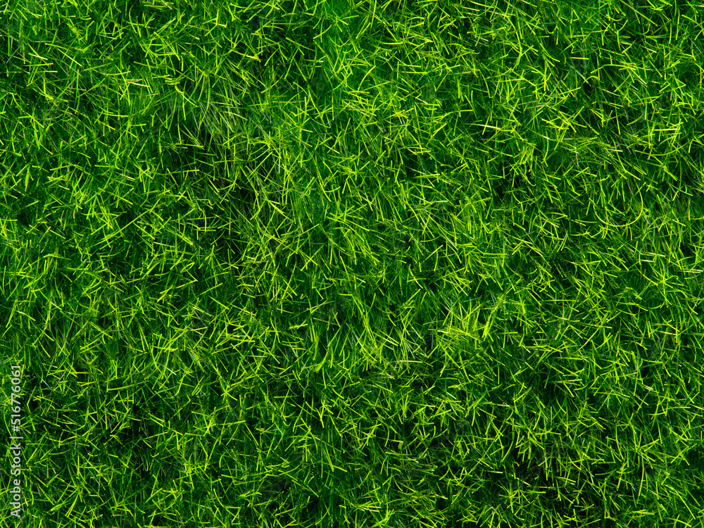Texture of green grass close up Texture of green grass close up