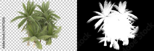 Tropical jungle isolated on background with mask. 3d rendering - illustration © Cristian