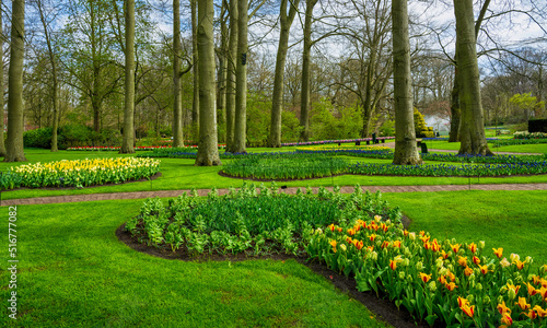 Colorful tulips and lush green garden in Keukenhof, Netherlands