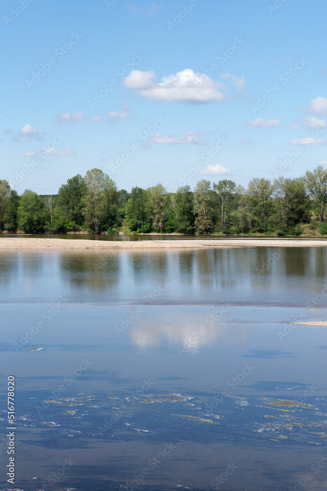 Loire river bank along the birds island in Centre-Val-de-Loire region