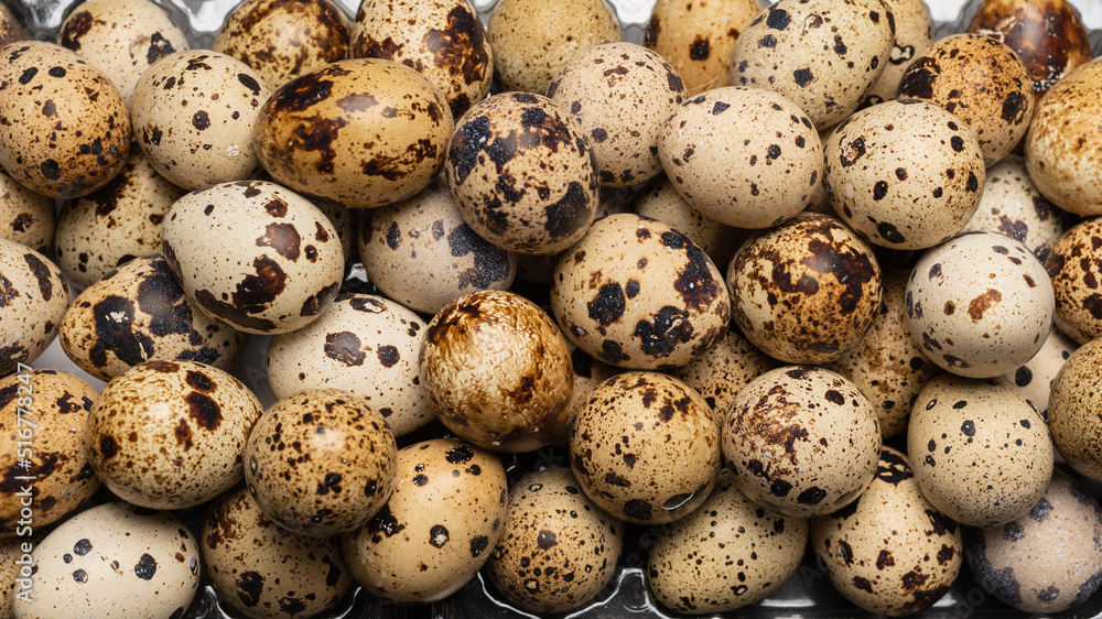 Group of quail eggs as a background. Raw eggs. Group of quail eggs as a background. Raw eggs.