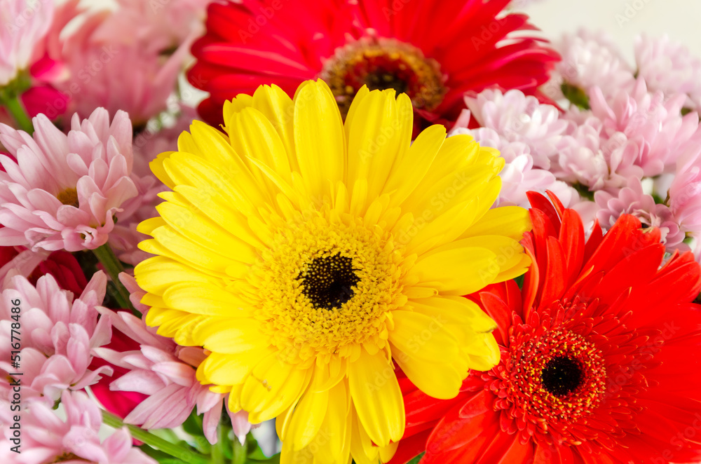 Colorful bouquet close up. Flowers of gerbera and chrysanthemum in bouquet.
