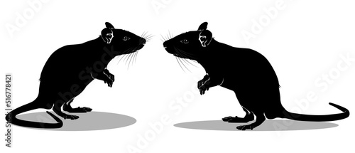 Rat or mouse alarm vector signal.The rat isolated can be fixed vector.