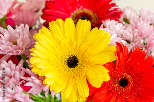 Colorful bouquet close up. Flowers of gerbera and chrysanthemum in bouquet.