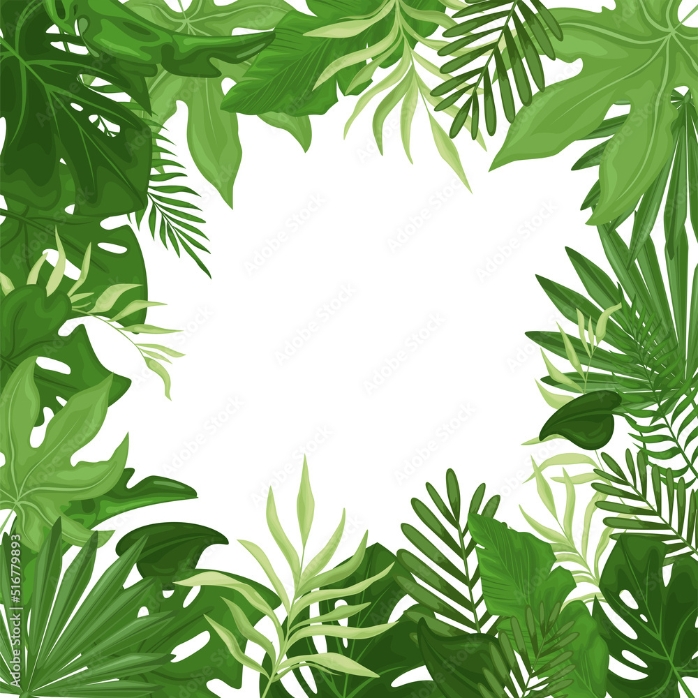 Tropical frame with palm leaves in a square. Hawaiian flyer with palm leaves isolated on white background. Vector Tropical frame with palm leaves in a square. Hawaiian flyer with palm leaves isolated on white background. Vector