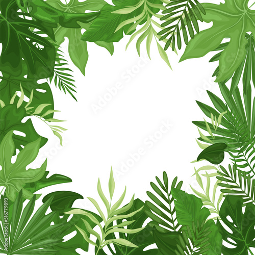 Tropical frame with palm leaves in a square. Hawaiian flyer with palm leaves isolated on white background. Vector