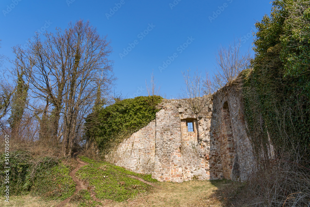 The famous Wallenstein castle ruin in Hesse, Germany
