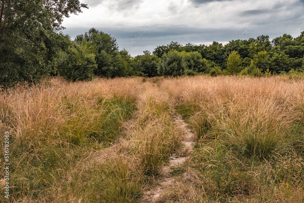 The road through the field. An empty rural road through a field with dry grass. Beautiful rural landscape under a dark cloudy sky. Summer landscape. The road through the field. An empty rural road through a field with dry grass. Beautiful rural landscape under a dark cloudy sky. Summer landscape.