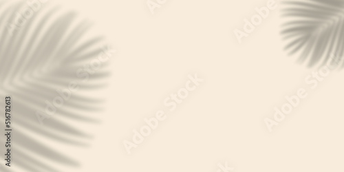 Shadow of tropical leaves is placed on light backdrop and copy space.