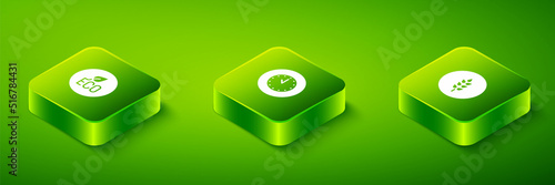 Set Isometric Clock, Wheat and Leaf Eco symbol icon. Vector