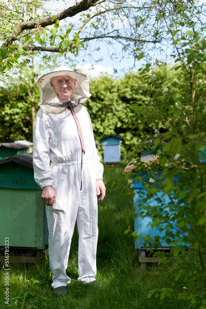 Vertical portrait of a smiley beekeeper in a farm