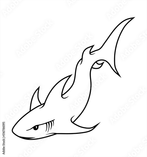 shark illustration