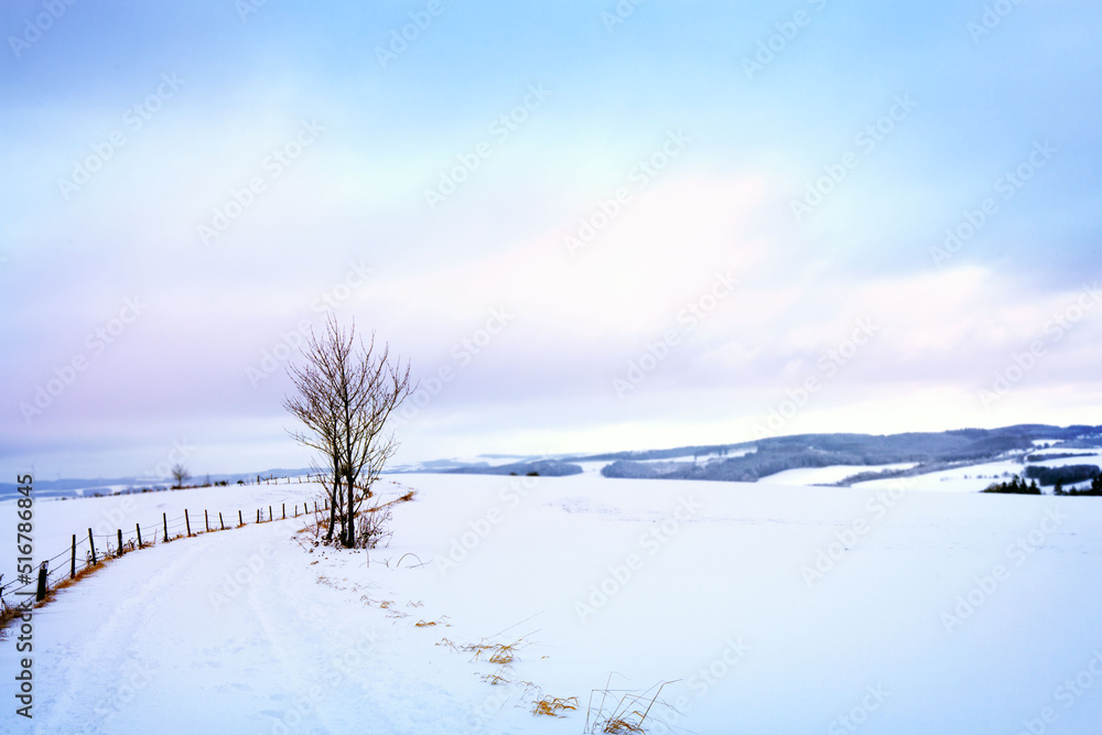 Beautiful winter landscape with snow covered trees and the road. Beautiful winter landscape with snow covered trees and the road.