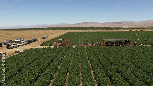 Aerial view of the sunny Palm Springs in the Los Angeles area, California. Produce being lifted by a forklift with workers in the background. photo