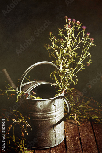 Flowers in a watering can