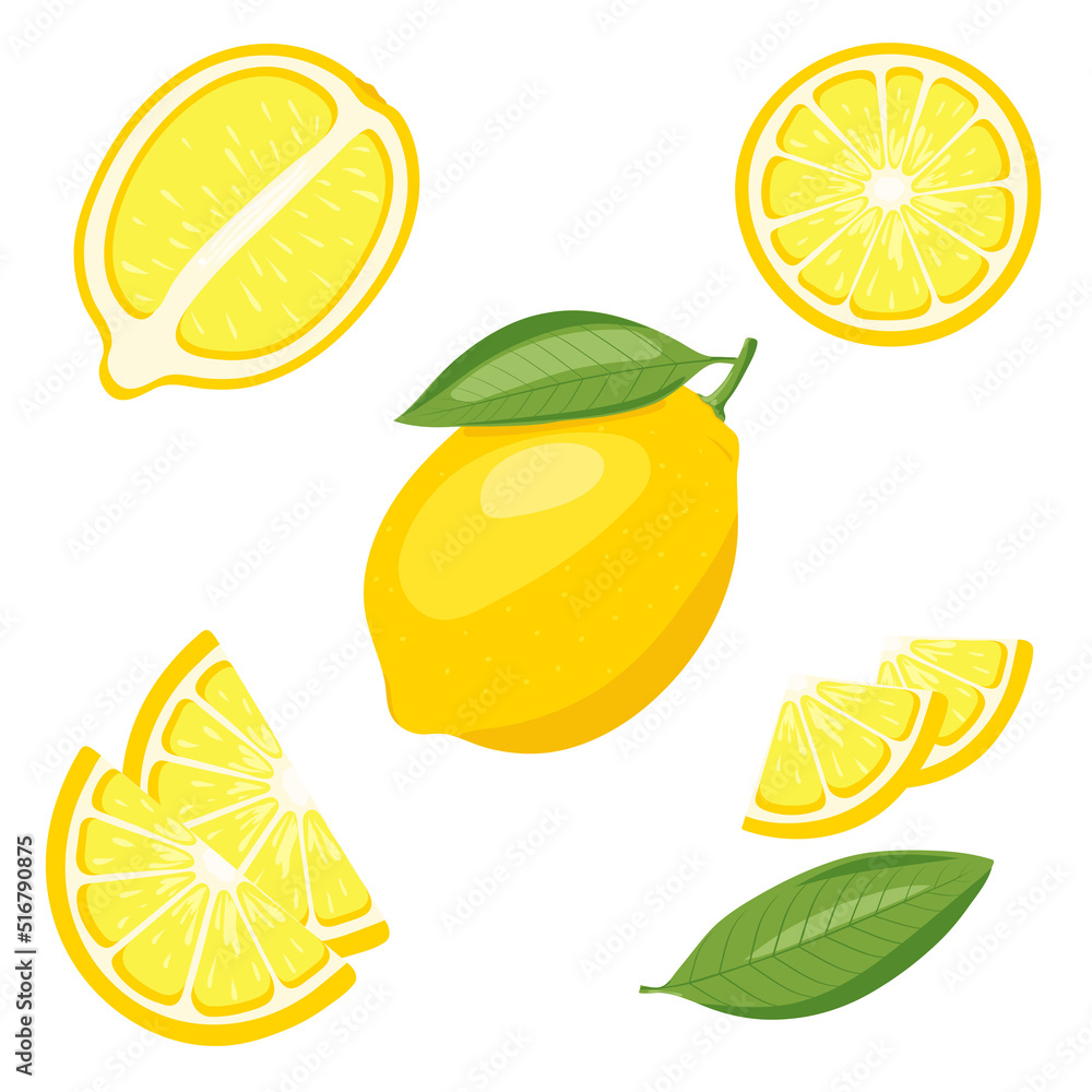 vector set of lemon, vector illustration on white background vector set of lemon, vector illustration on white background