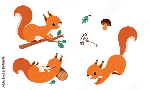 Red Fluffy Squirrel with Bushy Tail Sitting on Tree Branch and Jumping Vector Set