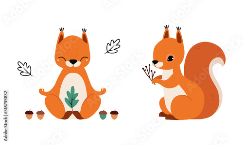 Red Fluffy Squirrel with Bushy Tail Sitting and Meditating in Yoga Pose Vector Set
