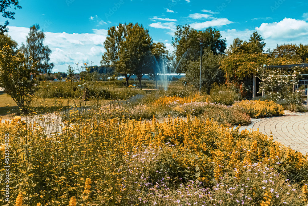 Obraz premium Beautiful summer view at Osterhofen city park, Danube, Bavaria, Germany