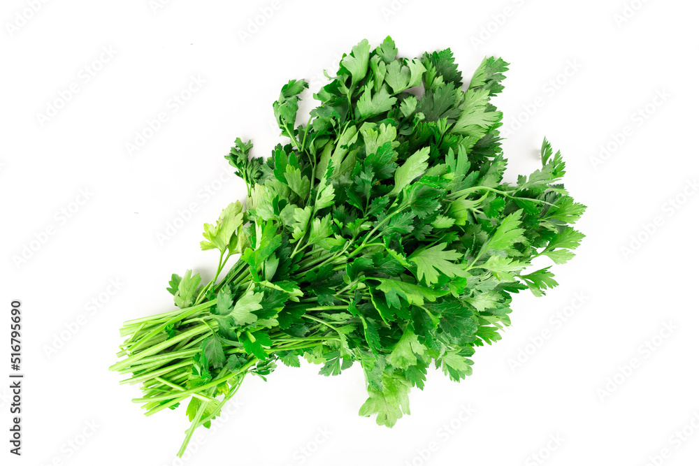 parsley bunch isolated on white background parsley bunch isolated on white background