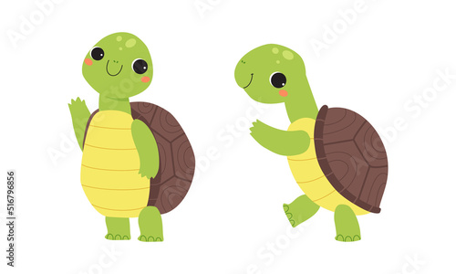Cute turtle baby animals set. Tortoise reptilian animal character standing on hind legs cartoon vector illustration