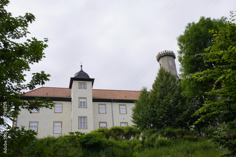 
Derneburg Castle is a palace complex in Derneburg in Lower Saxony. It goes back to an Augustinian monastery founded in 1213 and later to a Cistercian monastery.
