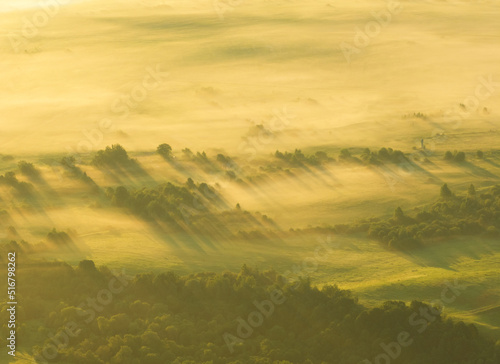 Foggy sunrise. Nature at dawn in fog, aerial view. Morning mist haze in agricultural field. Sunny morning scene in misty forest valley. Misty landscape. Sunny foggy hills on sundown. Dawn in hillside.