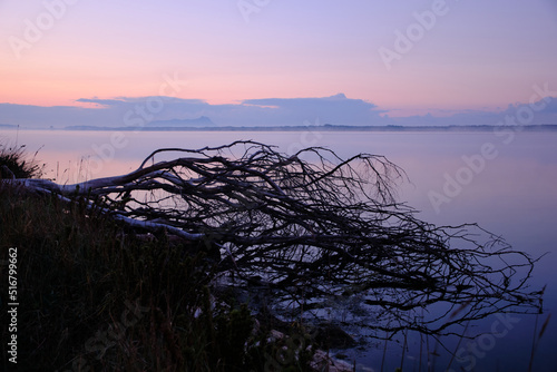 Lake fogliano at dawn, Circeo national park. Italy	 photo