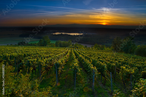 Weinberge Winzer 