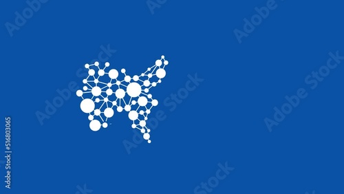 USA Map showing technological organic concept animation . United States networking connectiions 4K banner copy space
