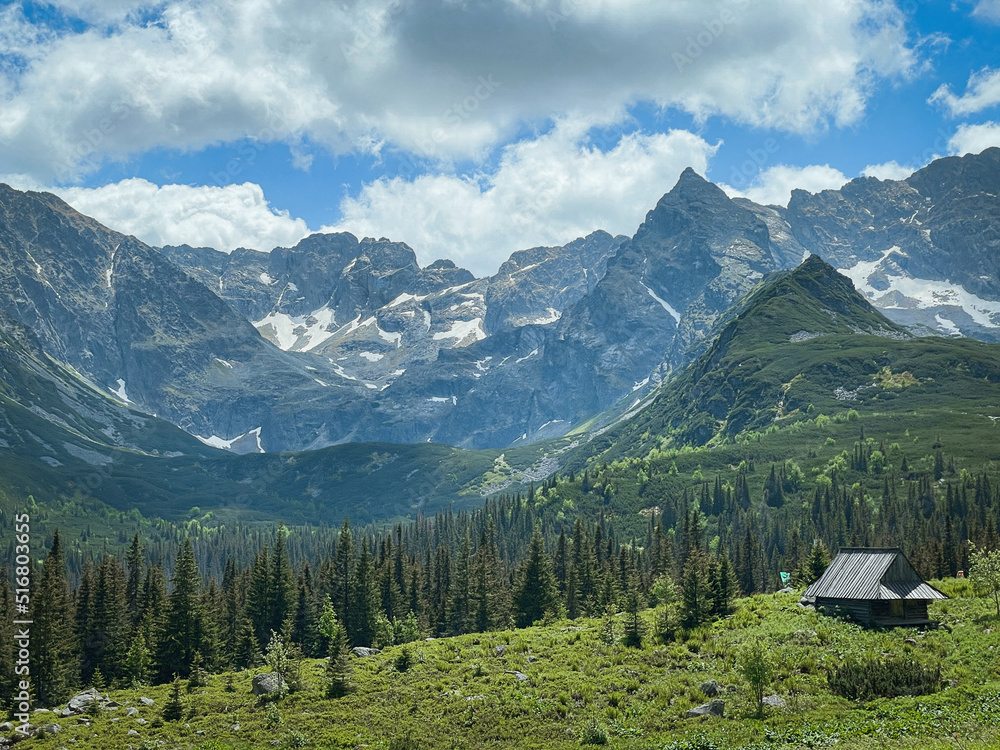 Beautiful lanscape of mountain valley with shepherd's hut in summer