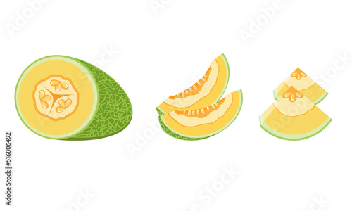 Melon and juicy slices vector set. Fresh and juicy fruit concept of summer food isolated on white background. photo