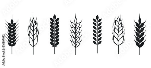 Wheat ears icon. Vector wheat icons isolated on white background