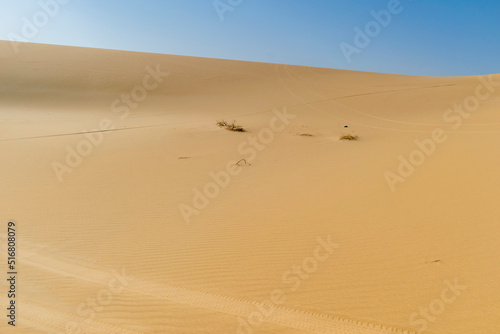 Awesome Desert Background Landscape at Siwa  Egypt