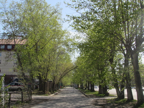 Street