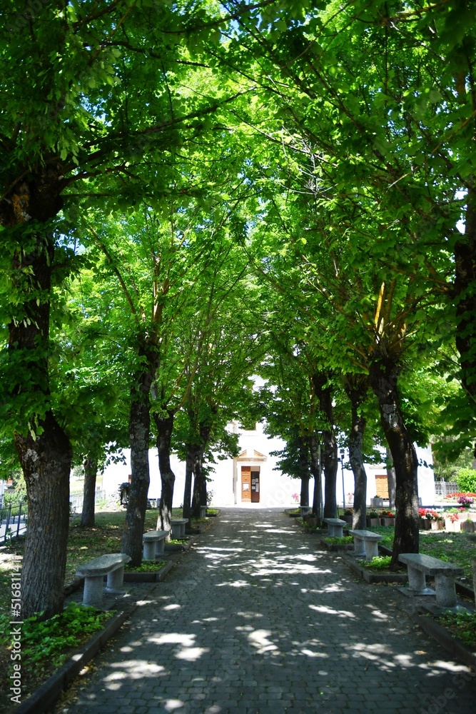 The trees of a public park in Campo di Giove, a small village in the Abruzzo mountains in Italy.
