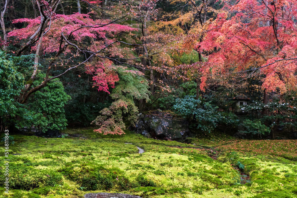 Japanese garden in autumn season at Rurikoin Temple, Kyoto, Japan