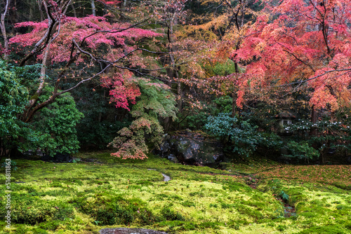 Obraz na płótnie Japanese garden in autumn season at Rurikoin Temple, Kyoto, Japan w salonie