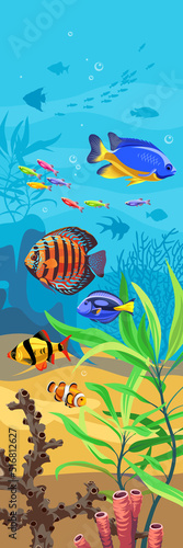 Vector ocean world. Exotic seascape with fish, seaweeds and corals. Aquatic ecosystem. Illustration of underwater life. Undersea bottom.