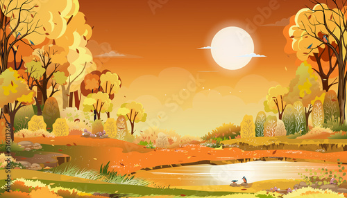 Autumn rural landscape in evening light with sunset, yellow,orange sky background,Vector Cartoon fall season at countryside with forest tree and grass field with sunrise,Backdrop natural banner