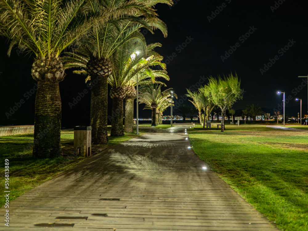 Obraz premium palm tree alley