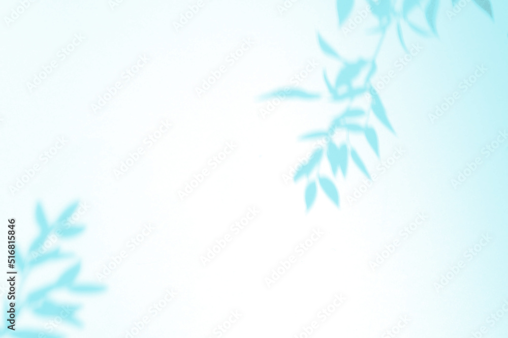Creative layout with blue tropical leafs shadow on pastel color background