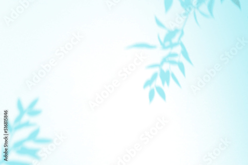 Creative layout with blue tropical leafs shadow on pastel  color background