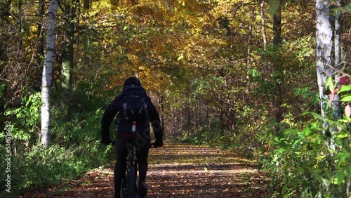 Wallpaper Mural A cyclist rides through an autumn landscape on a path covered with fallen leaves. Torontodigital.ca