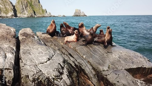 Wild nature of Russia, Kamchatka. No filters.