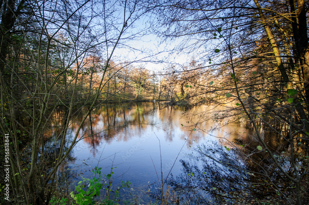Fototapeta premium Autumn lake panorama.