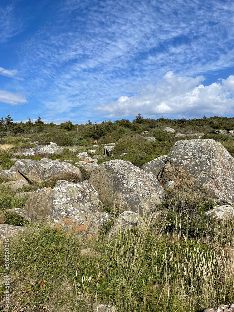 Prins Bertil Stig, Tylösand, Halland, Halmstad, Sweden, Scandinvia, natur, meer, kattegat, sommer, urlaub, Prins Bertil Stig, Tylösand, Halland, Halmstad, Sweden, Scandinvia, natur, meer, kattegat, sommer, urlaub,