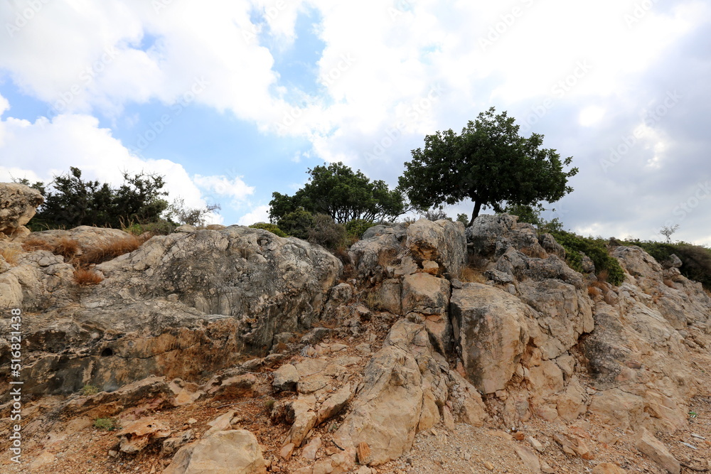 Landscape in the mountains in northern Israel Landscape in the mountains in northern Israel