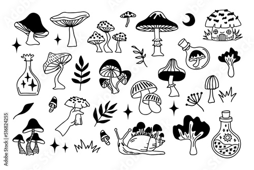 Mystical mushrooms isolated outline clipart set, magic line celestial mushroom, moon stars, witchy esoteric objects, floral mystical